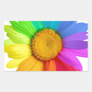 Rainbow Daisy Sticker