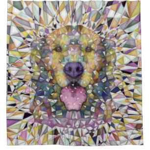 rainbow dog