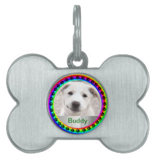 Rainbow Dog Walk by Kenneth Yoncich Pet ID Tag