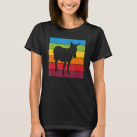 Rainbow Donkey Cute Donkey Picture Colourful Stri