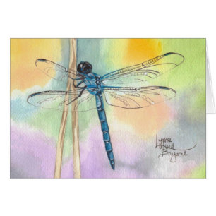 Rainbow Dragonfly