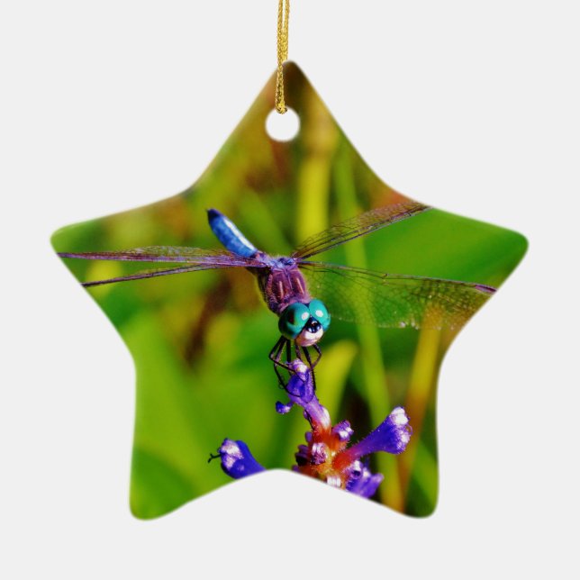 Rainbow Dragonfly and flower Ceramic Ornament (Front)