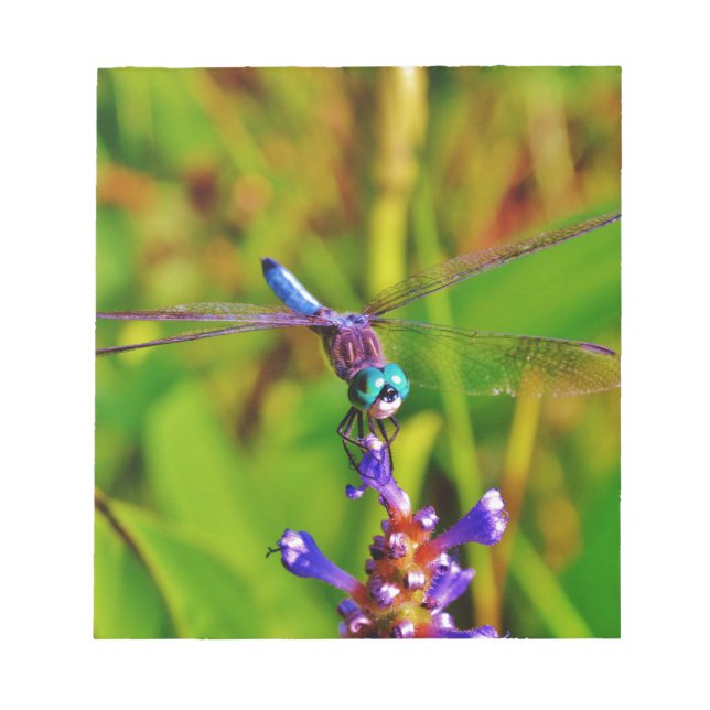 Rainbow Dragonfly and flower Notepad (Front)
