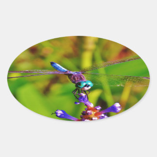 Rainbow Dragonfly and flower Oval Sticker