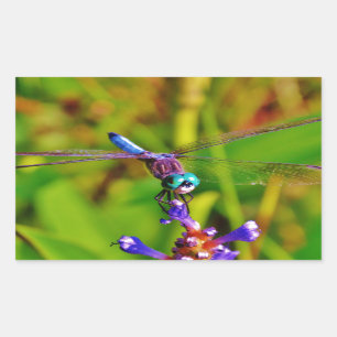 Rainbow Dragonfly and flower Sticker