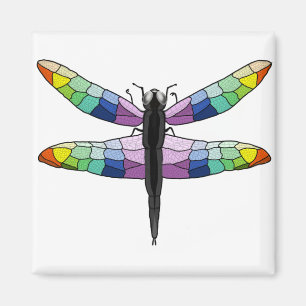 Rainbow Dragonfly magnet
