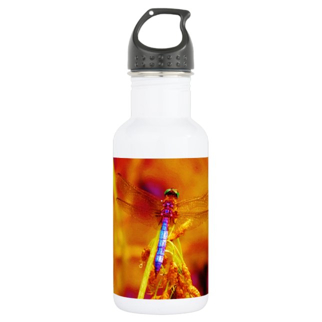 Rainbow Dragonfly on amber and fuschia 532 Ml Water Bottle (Front)