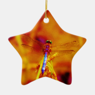 Rainbow Dragonfly on amber and fuschia Ceramic Ornament