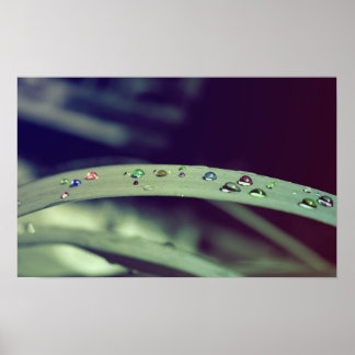 Rainbow Drops Poster / Framed Print