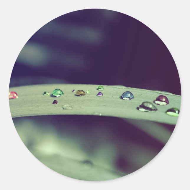 Rainbow Drops Stickers (Front)