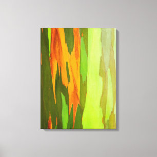 Rainbow Eucalyptus bark, Hawaii Canvas Print