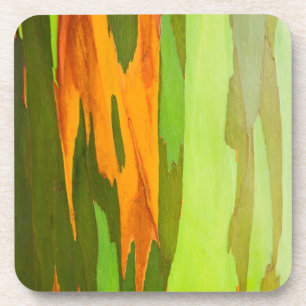 Rainbow Eucalyptus bark, Hawaii Coaster