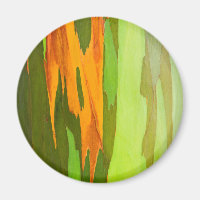 Rainbow Eucalyptus bark, Hawaii