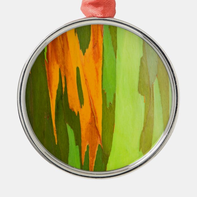 Rainbow Eucalyptus bark, Hawaii Metal Ornament (Front)