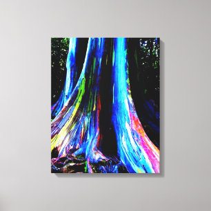 RAINBOW EUCALYPTUS TREE canvas