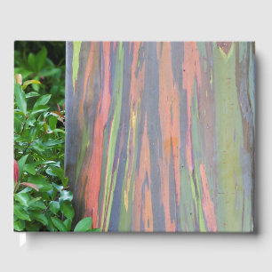 Rainbow Eucalyptus Tree Guest Book