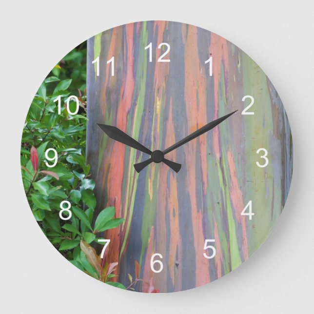 Rainbow Eucalyptus Tree Large Clock (Front)