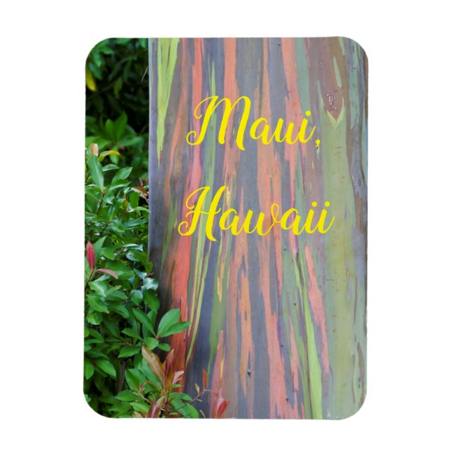 Rainbow Eucalyptus Tree Maui, Hawaii Magnet (Vertical)