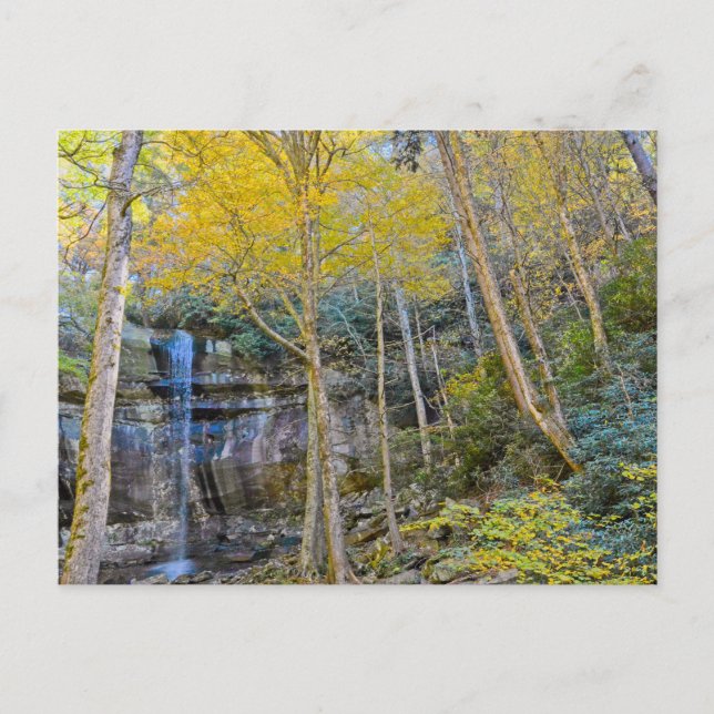 Rainbow Falls GSMTNP Postcard (Front)