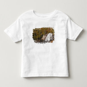 Rainbow Falls in Gorges State Park in North Toddler T-shirt
