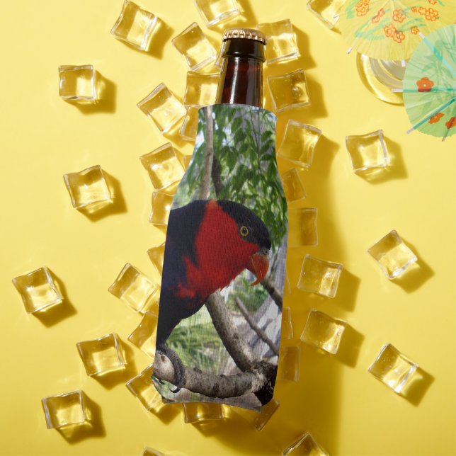 Rainbow Feathers: Pretty Australian Lorikeet, Bottle Cooler (In Situ Summer)