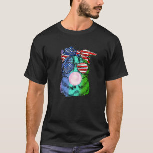 Rainbow Feline Cat Bubblegum 4h Of July Usa Flag T-Shirt
