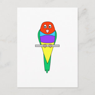 Rainbow Finch Bird. Colourful Gouldian. Postcard