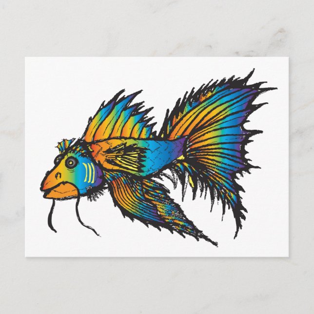 Rainbow fish postcard (Front)