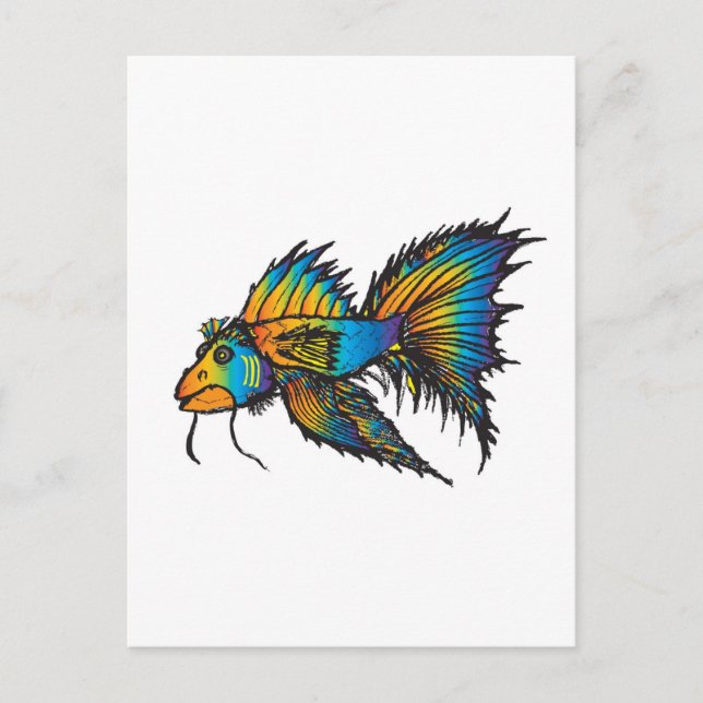 Rainbow fish postcard (Front)