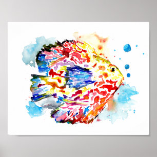 Rainbow Fish Watercolor Poster Print