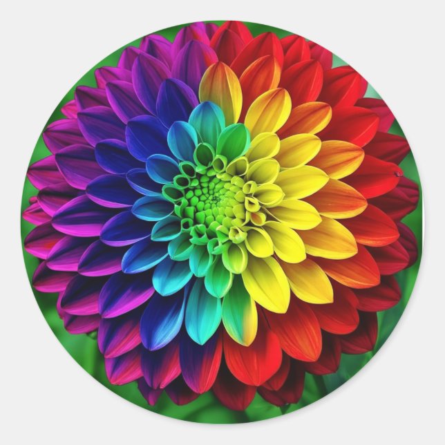 Rainbow Flower- Colourful Dahlia Classic Round Sticker (Front)