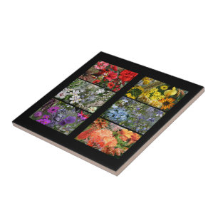 Rainbow Flower Photo Collage Tile