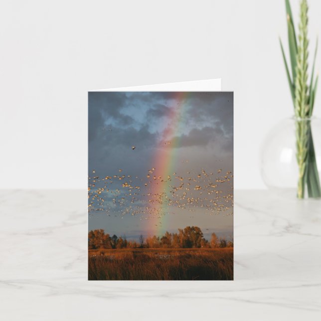Rainbow & Geese Card (Front)
