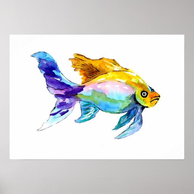 Rainbow Goldfish Poster (Front)
