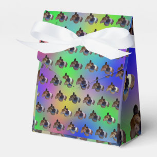 Rainbow Guinea Pigs Pattern, Birthday Favor Box
