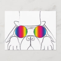 Rainbow Hippie Dog