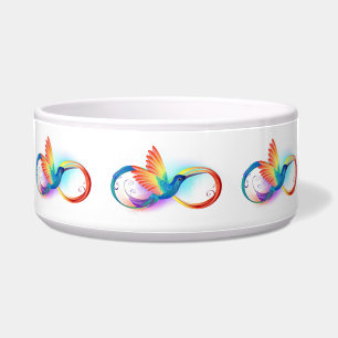 Rainbow Hummingbird with Infinity symbol