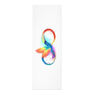 Rainbow Hummingbird with Infinity symbol Photo Print