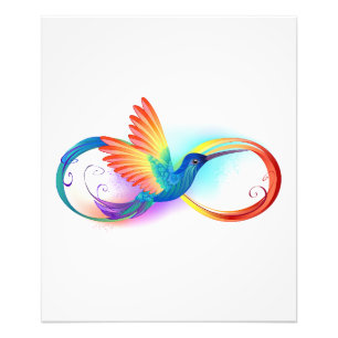 Rainbow Hummingbird with Infinity symbol Photo Print