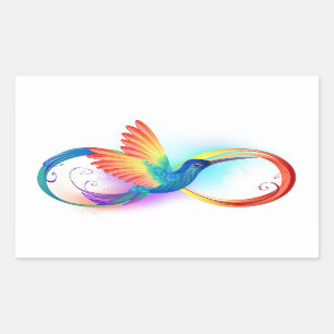 Rainbow Hummingbird with Infinity symbol Sticker