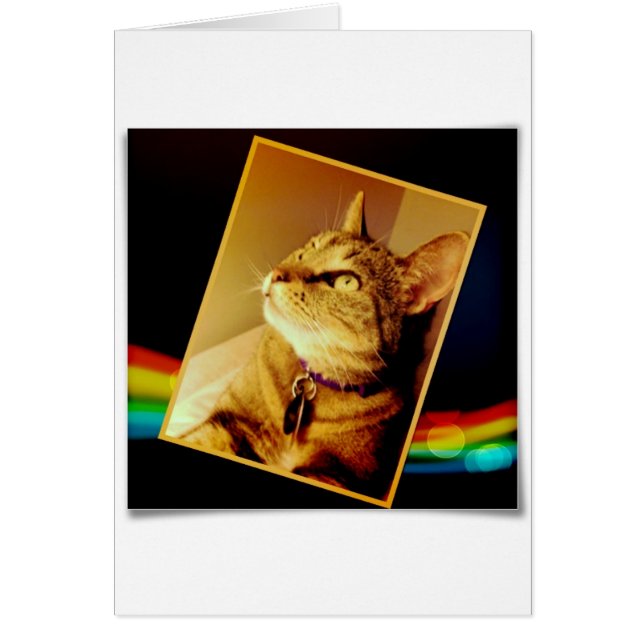 Rainbow Indigo (Devant)