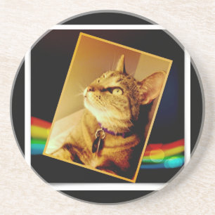 Rainbow Indigo Coaster