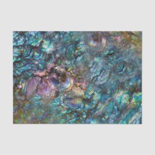 Rainbow Iridescent Abalone Beach Sea Shell Tissue Paper