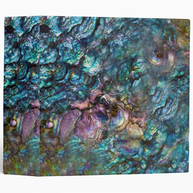 Rainbow Iridescent Abalone Sea Shell Binder (Front/Spine)