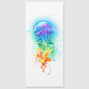 Rainbow jellyfish