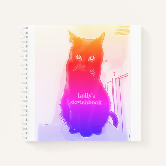 Rainbow Kitty livre d'esquisse en spirale personna (Devant)