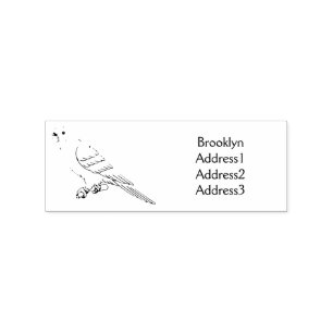 Rainbow lorikeet bird cartoon illustration rubber stamp