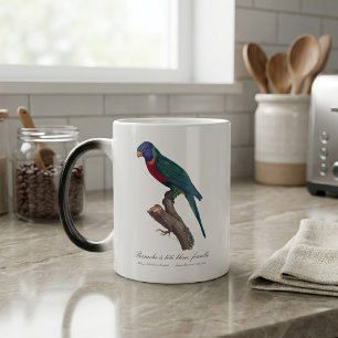 Rainbow lorikeet female, Trichoglossus moluccanus Magic Mug