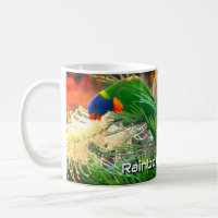 Rainbow Lorikeet Floral Nature Photo