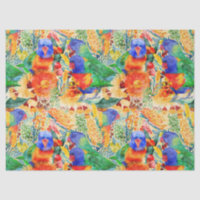 Rainbow Lorikeet Garden